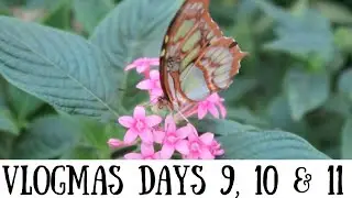 VLOGMAS DAYS 9, 10 AND 11.  WITH SPECIAL GUEST OREO AND LULU DEVIILE