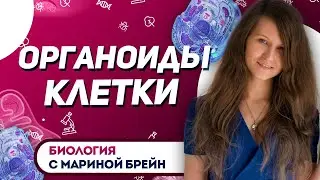ОРГАНОИДЫ
