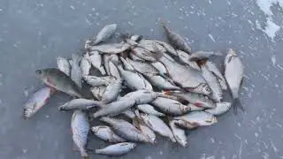 Самаркандское водохранилище