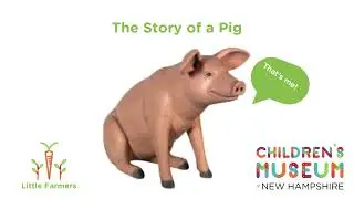 New Exhibit Diaries #1: The Story of a Pig