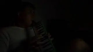 Sorry Naman Melodica Cover