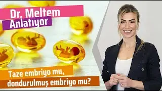 Taze Embriyo Transferi mi, Dondurulmuş Embriyo Transferi mi? (Dr. Meltem Anlatıyor)