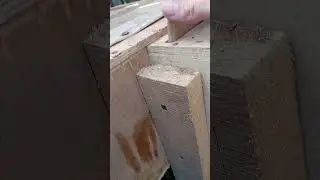 тренировка ягдтерьера в искусственной норе⚡Рыбалка охота ягдтерьер🦡