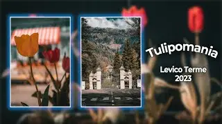 Tulipanomania 2023.Levico Terme