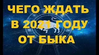 Гороскоп на 2021 год для всех знаков. Год быка. Китайский прогноз.