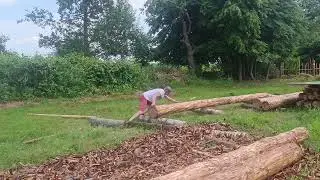 Кто кого: я или бревно?