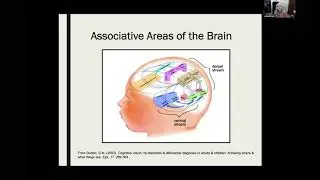 Who are the Children with CVI?