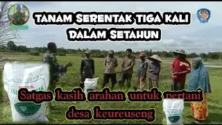 PERTANI DESA KEUREUSENG DIBERI ARAHAN OLEH SATGAS UNTUK PENGUNAAN PUPUK YANG BENER #PERTANIAN #DESA