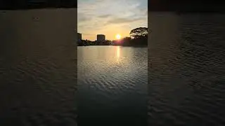 taman tasik kota kemuning