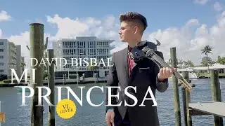Mi princesa Violin Cover David Bisbal Residence Inn by Marriott Ft. Lauderdale Intracoastal