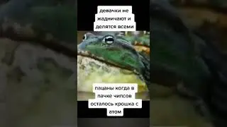 Мем подпишись #мемы #смешныемоменты #приколы #ржака #смех #рофл #юмор #shorts #memes