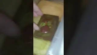 Аулофорус. Сбор биомассы.