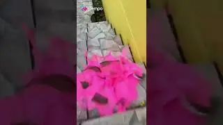Burst Bottle Of 