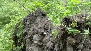 Природные объекты для укрытия