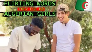 Algerians Teaching Me Arabic Phrases || Darija || North Africa