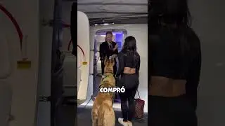 Un perro gigante en el avión 😳