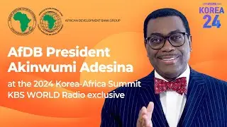 [2024 한-아프리카 정상회의] 아프리카개발은행 총재 아킨우미 아데시나 AfDB President Akinwumi Adesina | Korea24