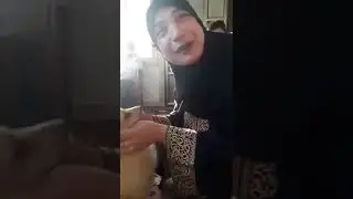 بنت بتبوس كلب بطريقة غريبة