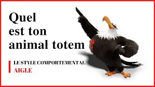 Quel est ton animal totem ? L'AIGLE ou le style comportemental dominant
