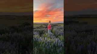 The midnight sun is back in Iceland 🥹🙏🏼☀️ Get my Iceland map and guide: www.rexby.com/asasteinars