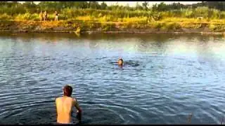 -NAU- 
