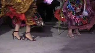 Zapateado La Trayectoria De Tierra Caliente 2023