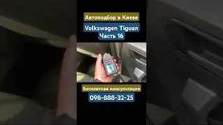 Автоподбор в Киеве Volkswagen Tiguan Часть 16 