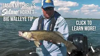Jason Mitchell's Salmo Hornet Tweak for Big Walleye