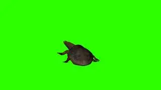 шни шна шнапи шнапи шнапи шнап (Green screen jwa мемы)