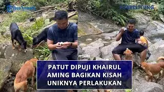 Patut Dipuji Khairul Aming Bagikan Kisah Uniknya Perlakukan Anjing Liar,  Diberikan Makan Yang Layak