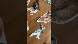 Книга про птиц и пазлы
