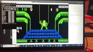 Donkey Kong 3 on Intellivision - Early WIP Homebrew