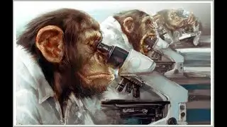 Roblox Monke Game WR any% 4k 200 FPS