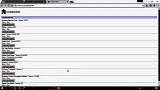 Couldn't load plugin in chrome //FIX//