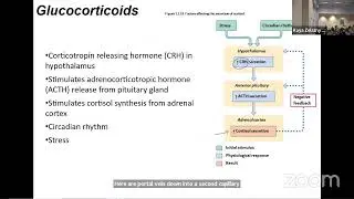 A&P Lecture - Endocrine
