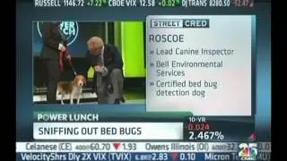 Roscoe & Bell Environmental on CNBC's Power Lunch - July 29, 2014