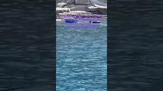 Нячанг 2024 