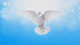 Dan Luiten - Un Souffle nouveau (Lyrics)