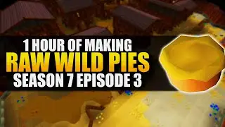 Making Raw Wild Pies | Testing OSRS Wiki Money Making Methods | Money Making Guide 2022