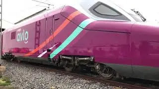 renfe avlo