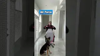 Walking Your Dog With The Branches 