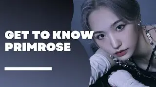 PRIMROSE (프림로즈) Members Profile & Facts (Birth Names, Positions etc..) [Get To Know K-Pop]