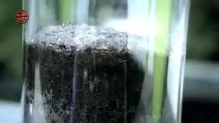 Galileo über den Superabsorber