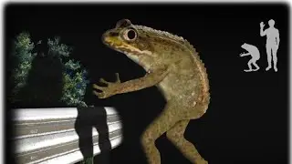 i honestly have no idea why i did this video at all