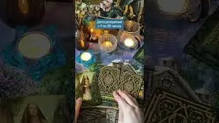 Какая ты колдунья?✨ Видео несет исключительно развлекательный характер