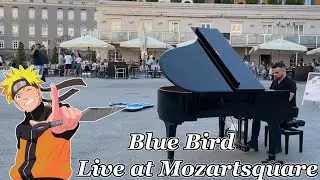 I played BLUE BIRD live on a grand piano in public | Mozartsquare