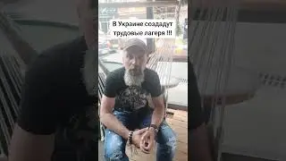 5 июля 2024 г.