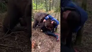 Встреча с медведем в лесу 