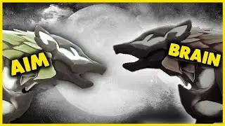 There are Two Wolves Inside You: Aim and Brain