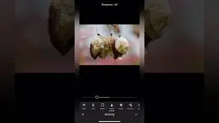 Editing photos in Light room Mobile App - sharpening an image